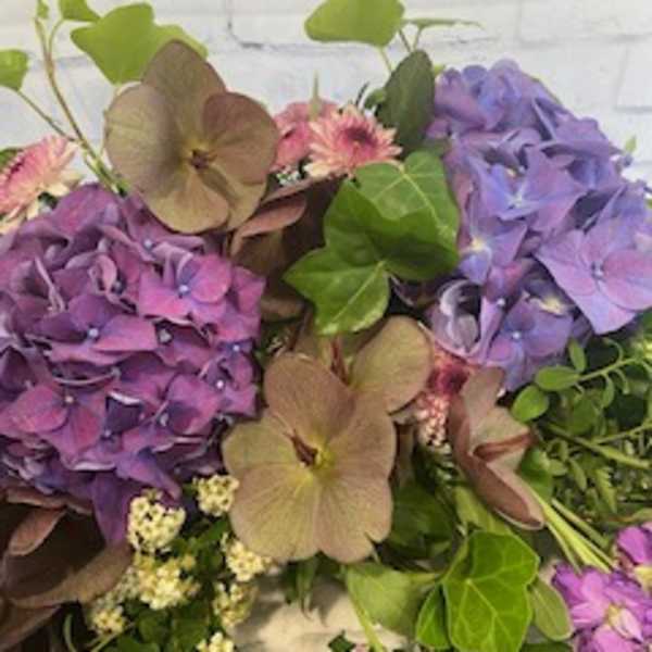Bouquet of purple and tan hydrangeas with green foliage