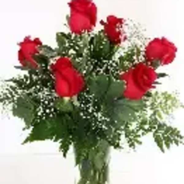 Half Dozen Red Roses