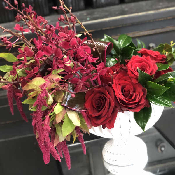 Romancing the Roses