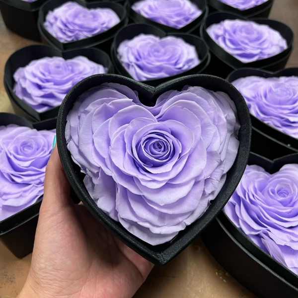 Lavender roses arranged in black heart-shaped boxes