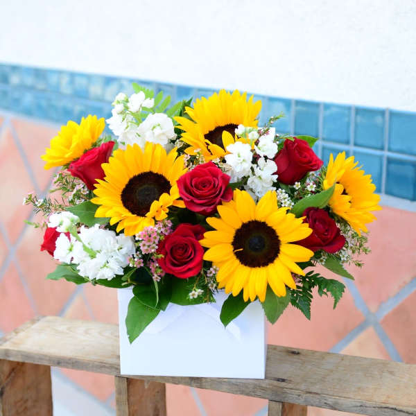 You are my sunshine