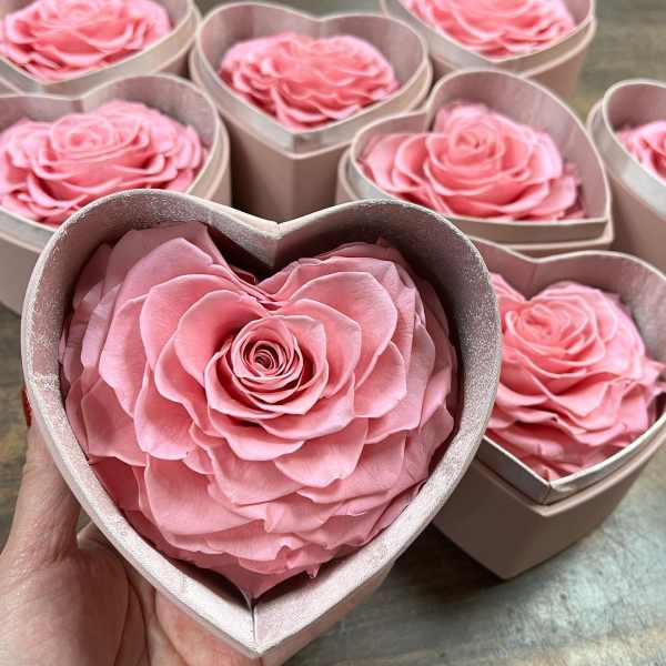 Preserved rose in heart box PINK