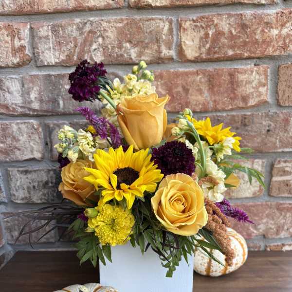 Harvest Groove Box