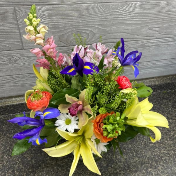Designers Choice Spring