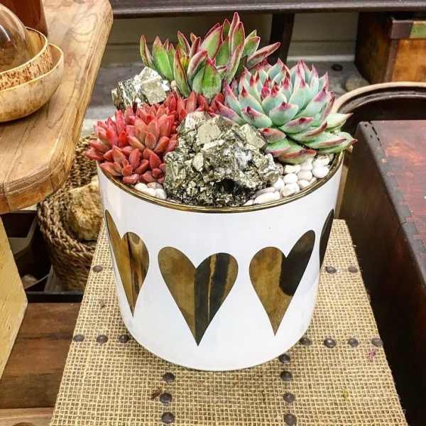 Succulent arrangement in a white heart-patterned pot with metallic accents