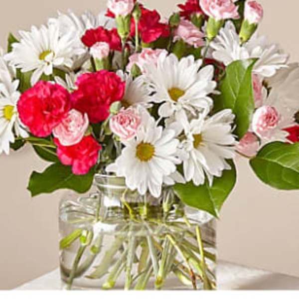 Bouquet of white daisies and pink carnations in a clear glass vase