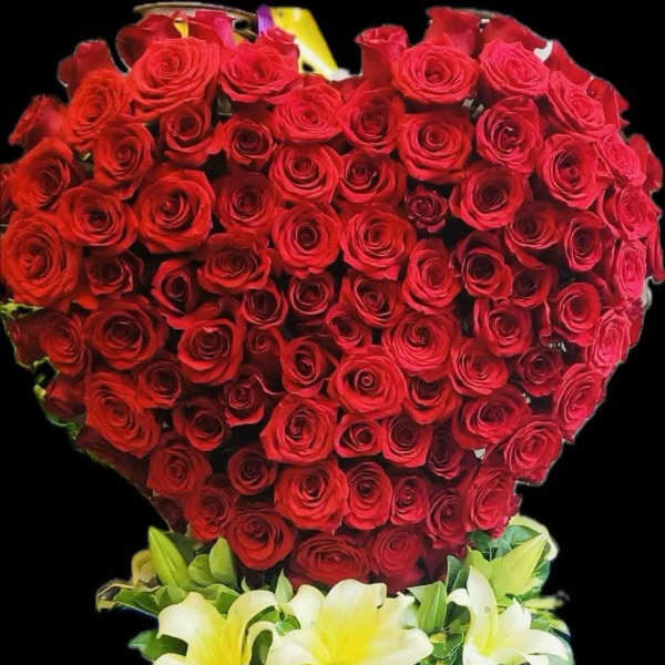 Heart-shaped arrangement of red roses in a black container with white lilies