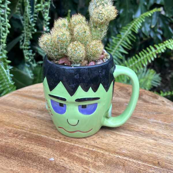 Small cactus arrangement in a Frankenstein face mug