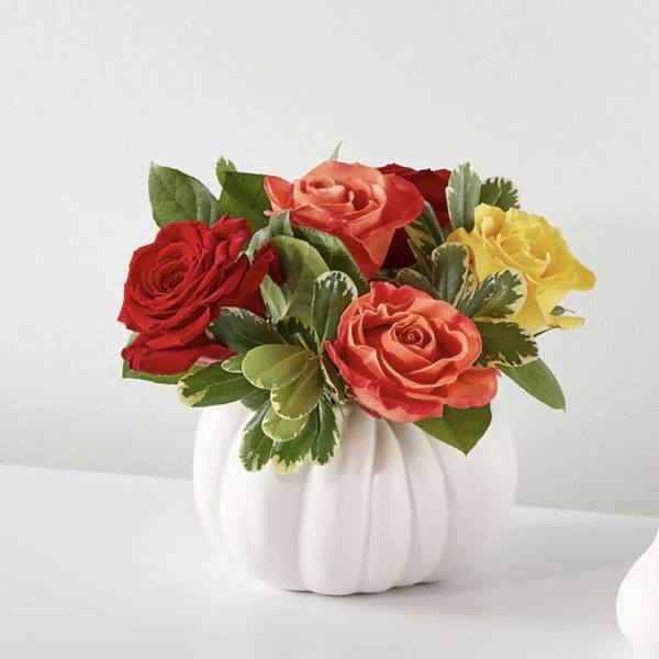 Roses arranged in a white pumpkin-shaped vase