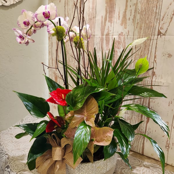 Tropical plant arrangement with orchids and red anthuriums in a woven pot