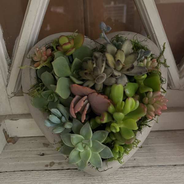 Heart-shaped succulent arrangement in a white container