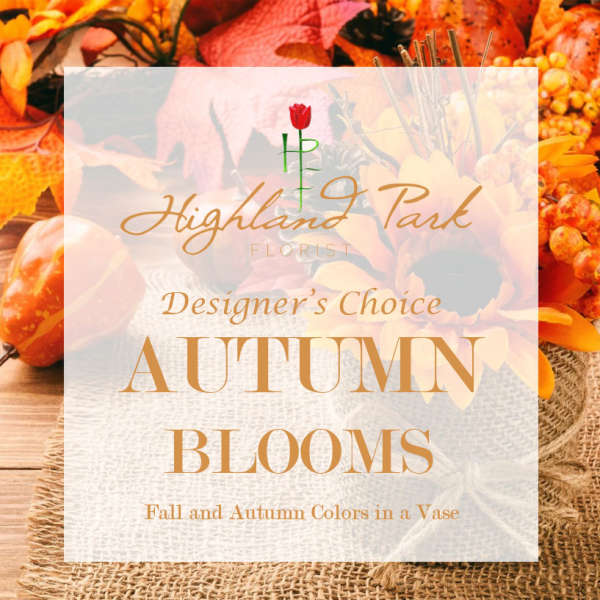 Designer's Choice Autumn Blooms