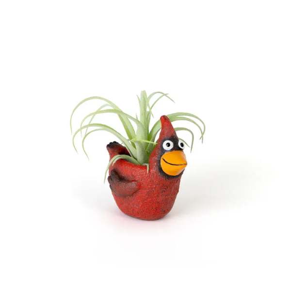 Red bird-shaped planter with a small air plant