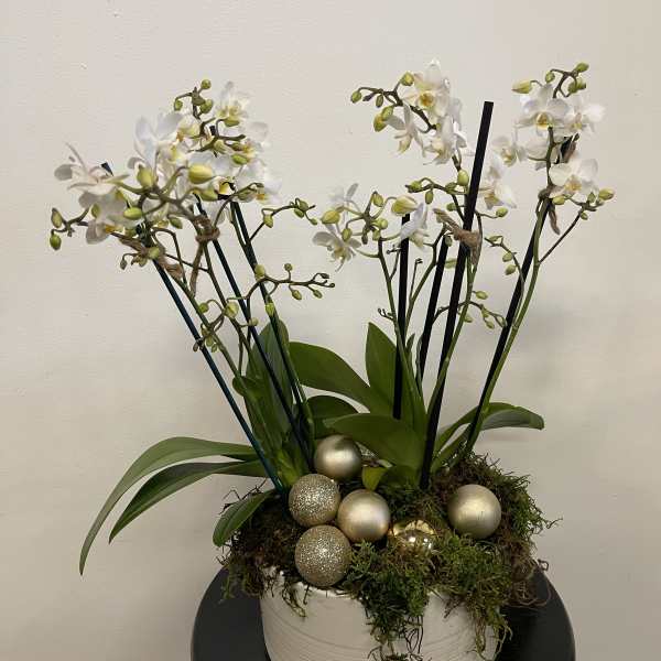 White orchid arrangement in a white bowl with gold decorative spheres