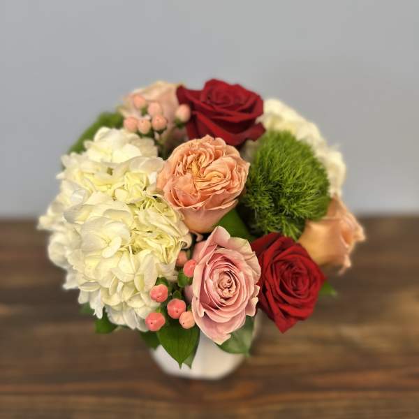 Short round arrangement of red and pink roses, peach blooms, white hydrangea and green dianthus in a white vase