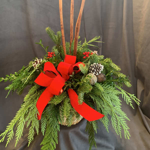 Evergreen arrangement with a red bow, pinecones, and tall sticks in a container