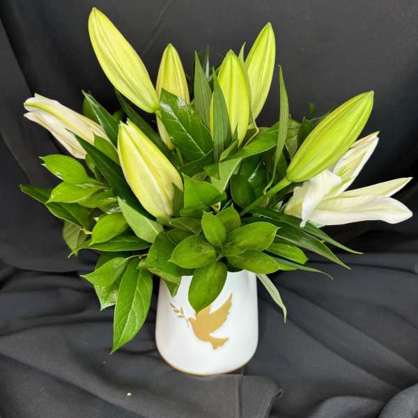 White lily buds in a white vase with a gold dove design