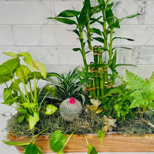 Mixed potted plants and succulents arranged in a wooden planter box