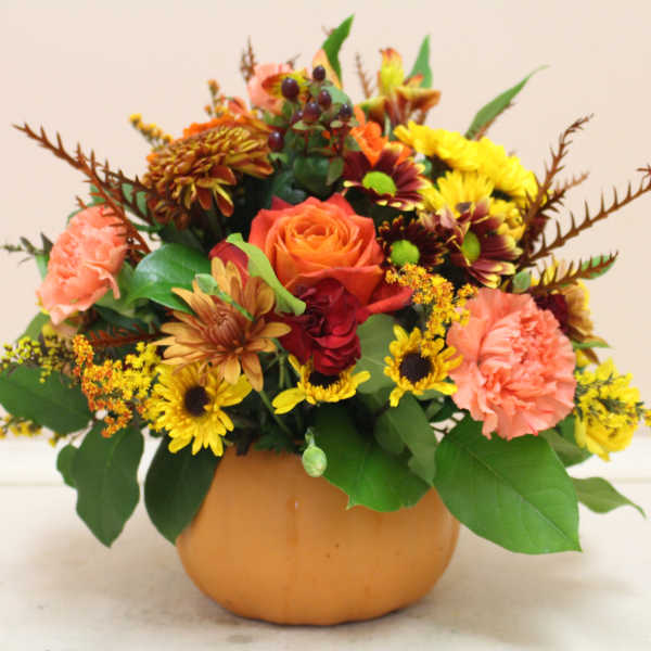 pumpkin patch