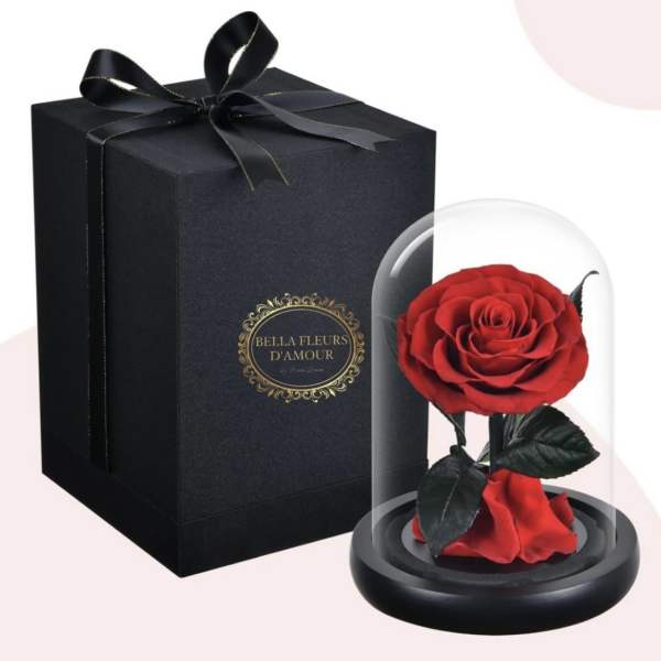 Beauty and the Beast Rose