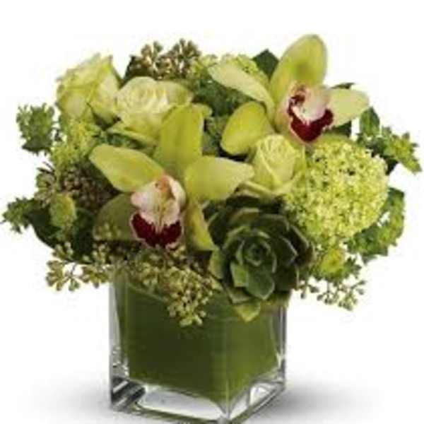 Green orchid arrangement in a square glass vase