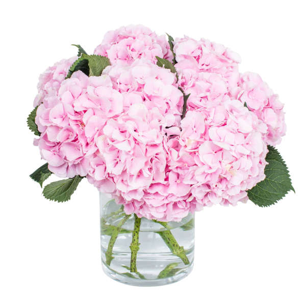 Light Pink Hydrangea Bouquet
