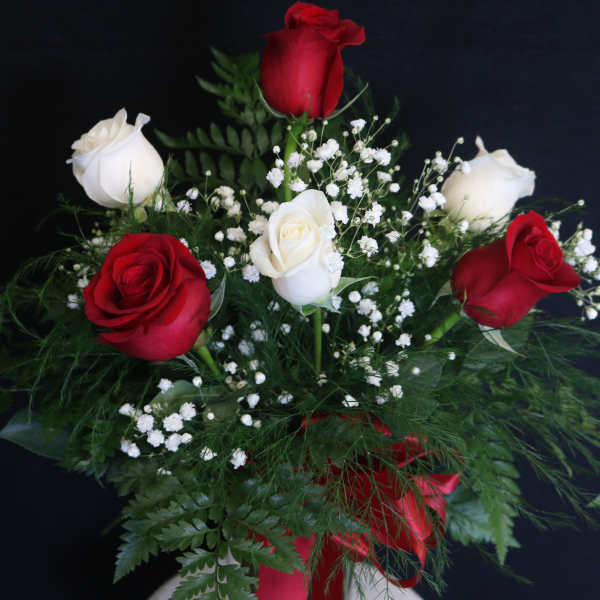 Bouquet of red and white roses with baby's breath