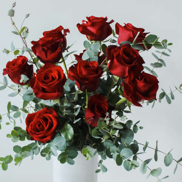 Red roses in a white vase with eucalyptus