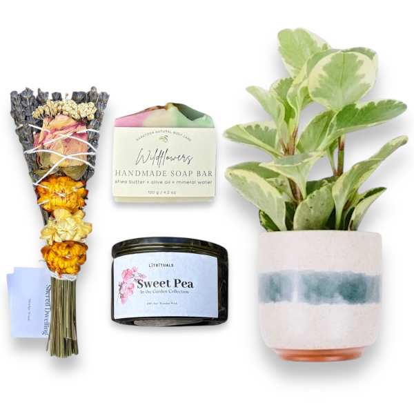 Gift set with a dried flower bouquet, soap bar, candle, and potted plant