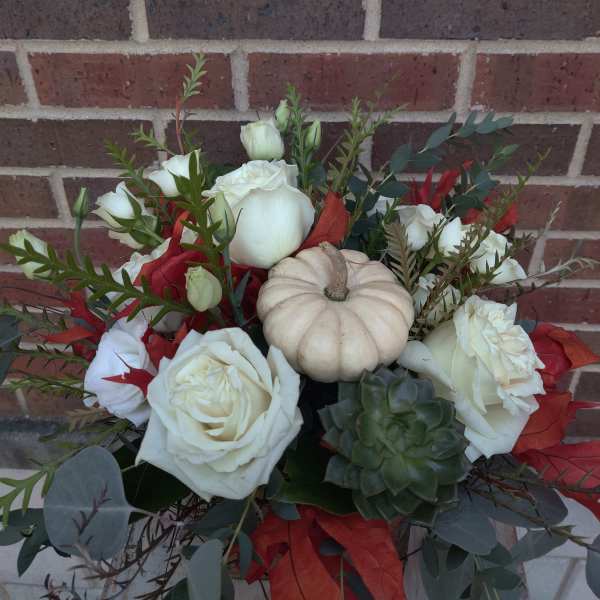 Fall succulent
