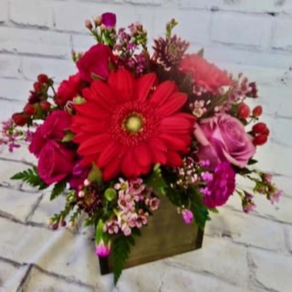 Red gerbera bouquet with pink roses in a square box