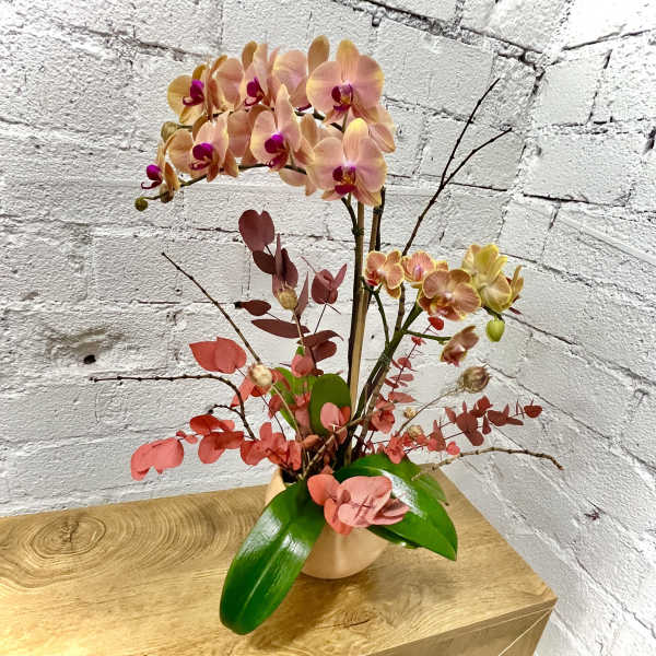 Pink and peach orchids arranged in a vase with red foliage