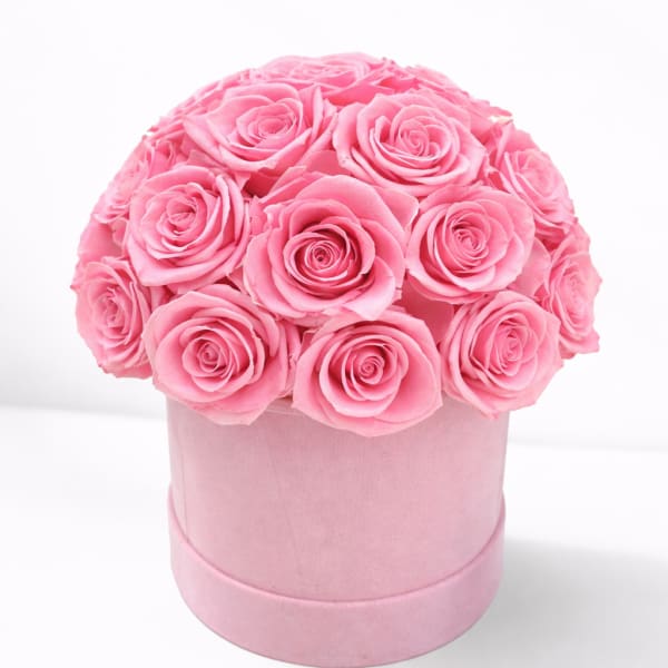 Pink roses arranged in a round pink box