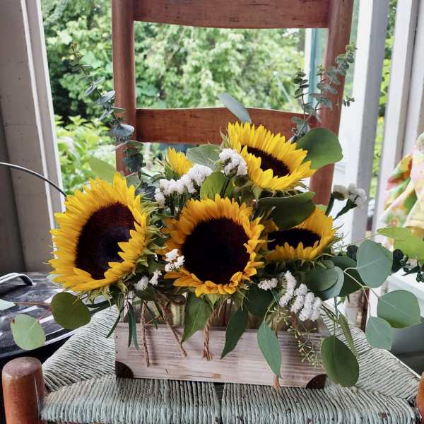 Sunflower arrangement in a wooden box with white filler flowers