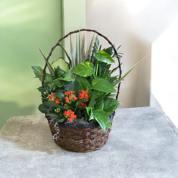 Basket arrangement of green houseplants with small orange flowers