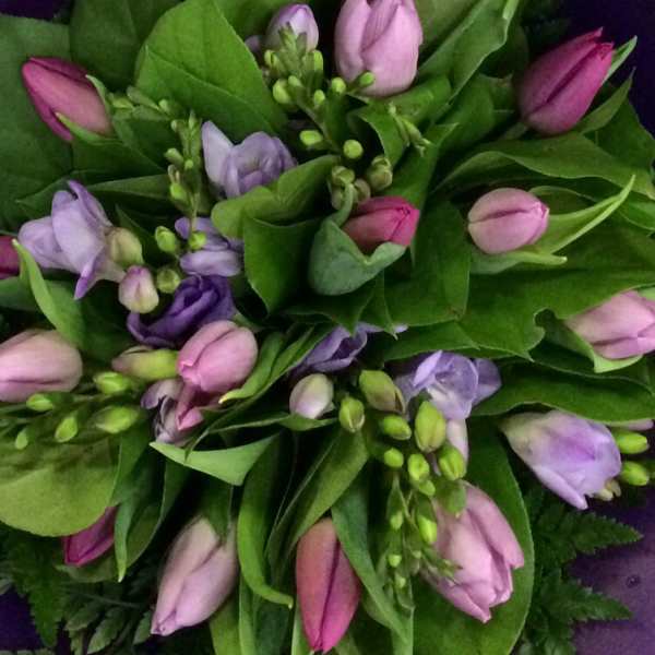 Bouquet of pink and purple tulips with green foliage