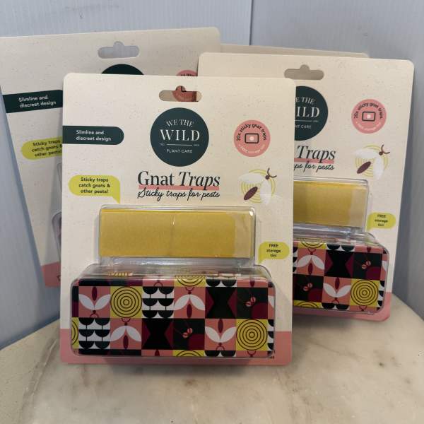Three packaged gnat traps with patterned tins on a tabletop