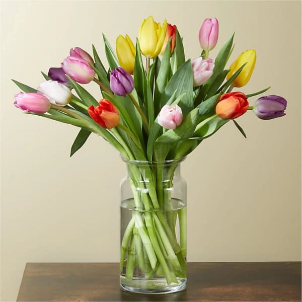 Colorful tulips arranged in a clear glass vase