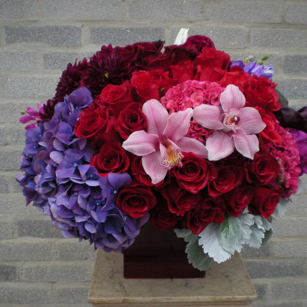 Sultry Red, Purple and Pinks