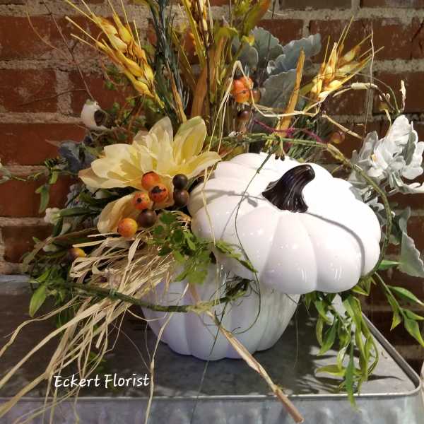 Eckert Florist's Permanent Botanical White Pumpkin *LOCAL DELIVERY ONLY