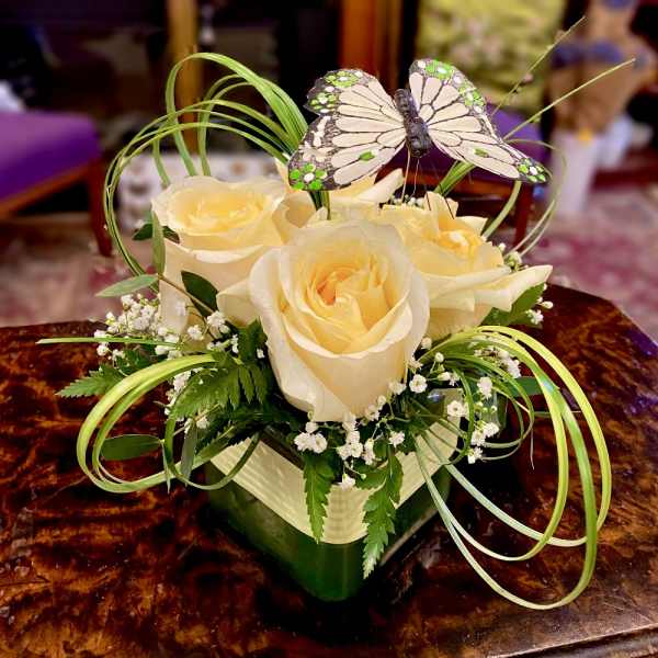 Cream roses in a square vase with a butterfly decoration