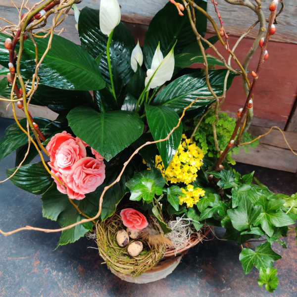 Potted garden with leafy plants, white blooms, and a twig arch over a moss nest with decorative eggs.