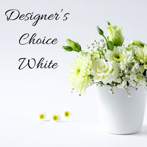 Designer Choice White