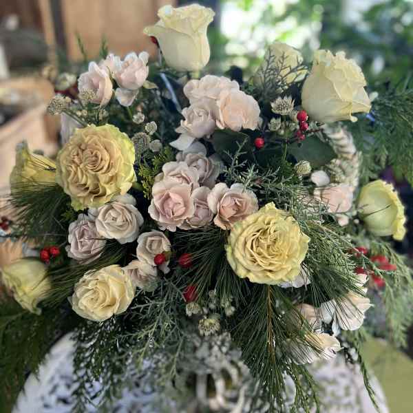 Bouquet of pale roses with pine and red berries