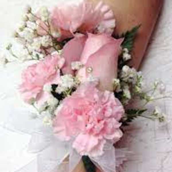 Pink corsage with white baby's breath on a wrist
