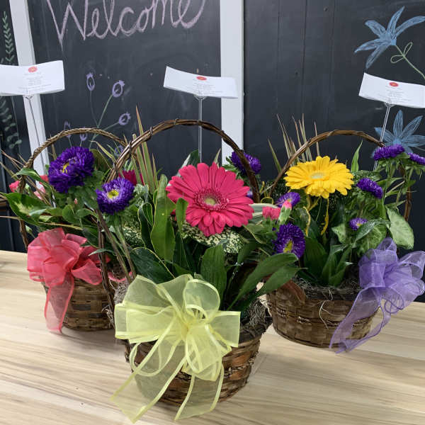 Three flower baskets with colorful blooms and ribbon bows