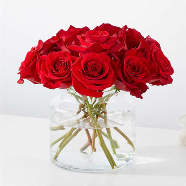 Red roses arranged in a clear glass vase