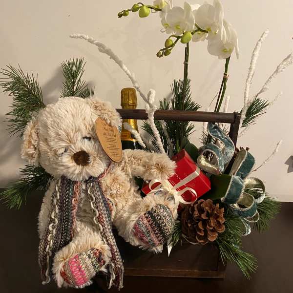 Teddy bear gift arrangement with white orchids and holiday accents