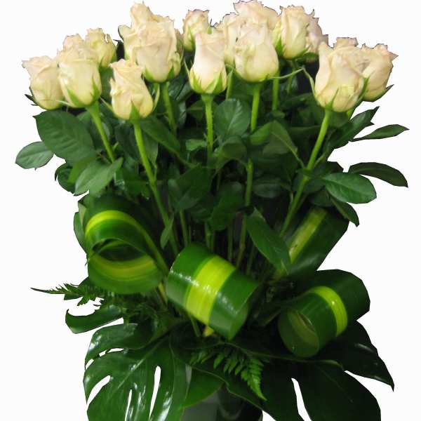 Bouquet of cream roses in a dark vase with green ribbon accents