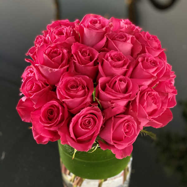 Kiko Roses Galore